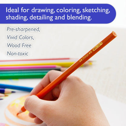 12 Colored Pencils