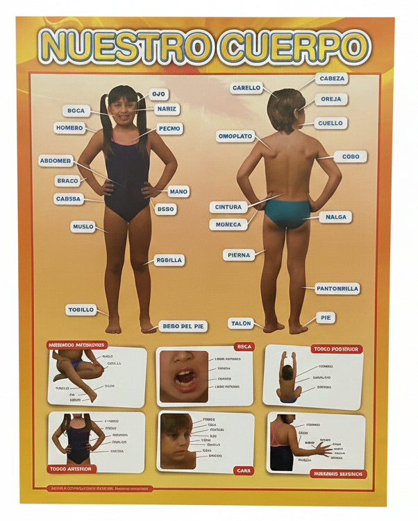 Cartel Nuestro Cuerpo