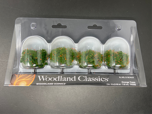 ORANGE TREE 4PK 2''-3''
