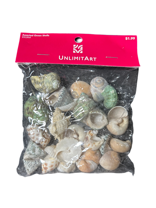 ASSORTED OCEAN SHELLS 85GRM