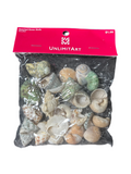 ASSORTED OCEAN SHELLS 85GRM