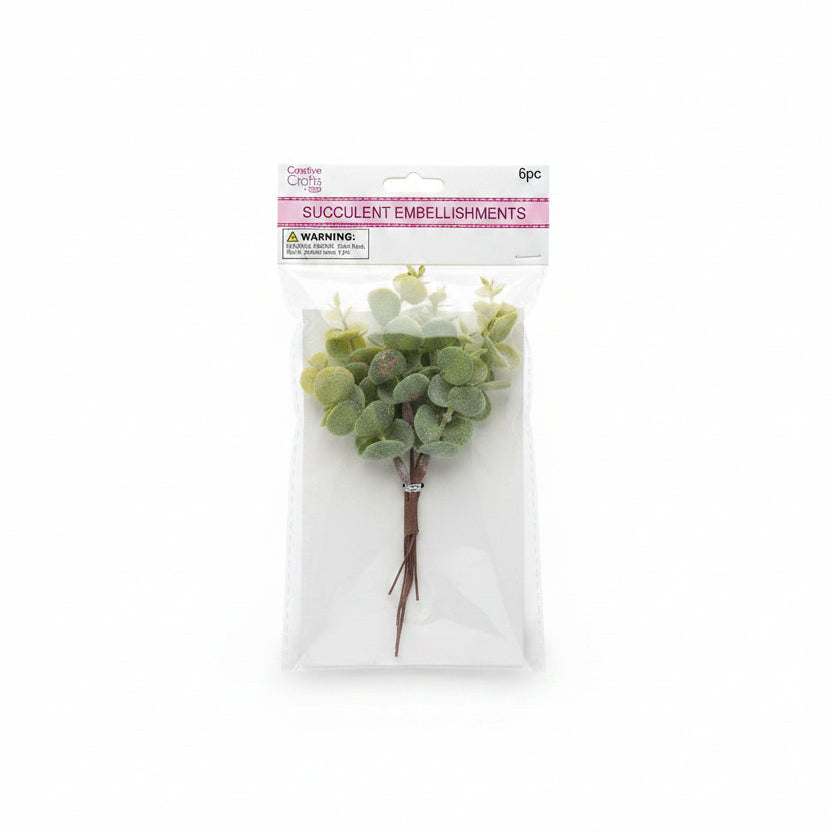 Ecualyptus Bundle | 6pc