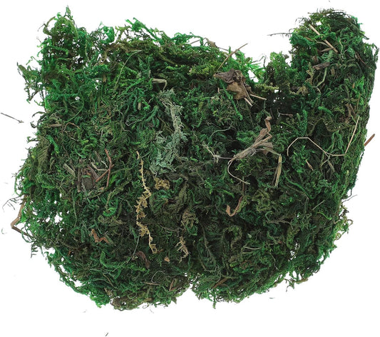 ARTIFICIAL MOSS 50G