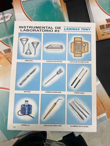Láminas Tony