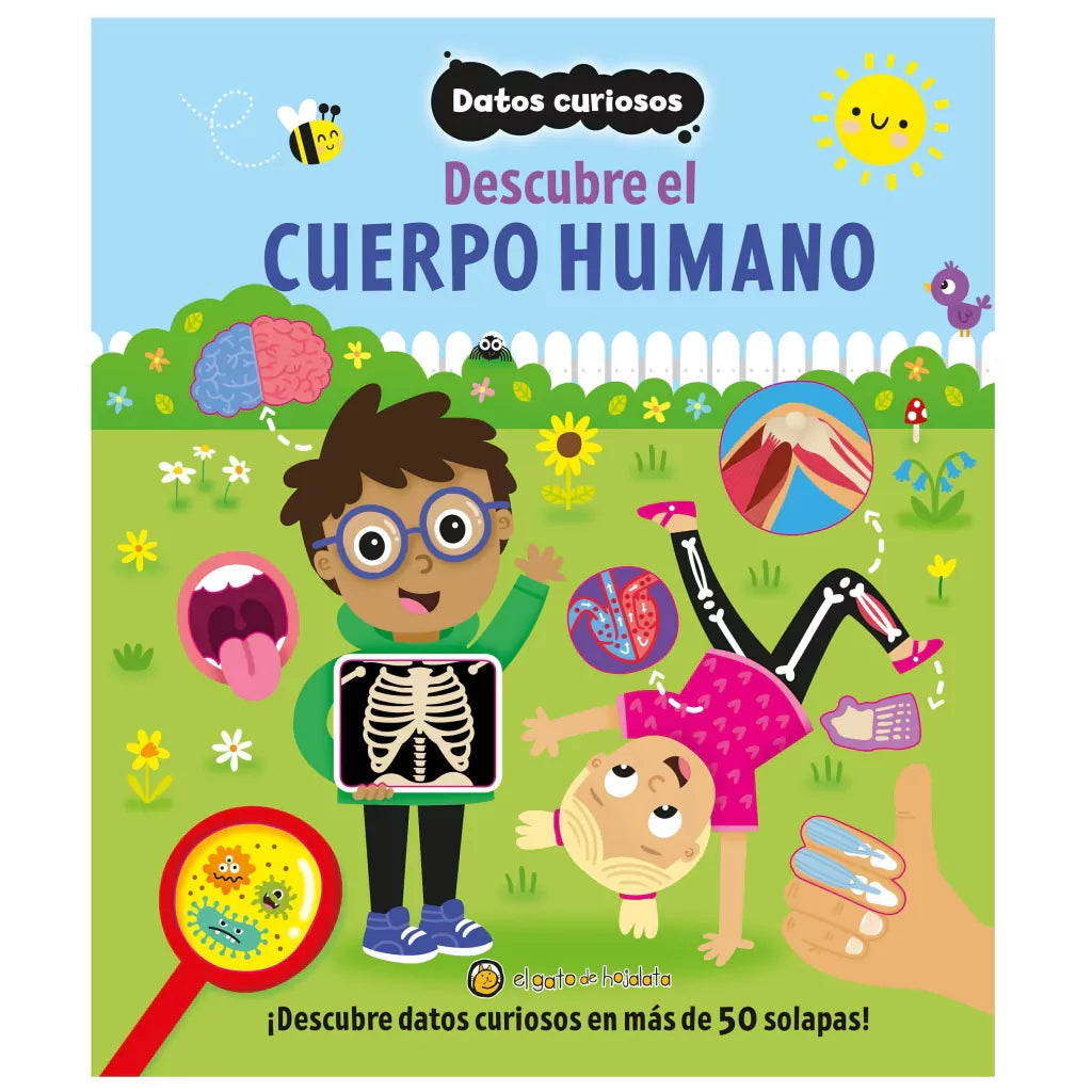 Descubre el Cuerpo Humano - Datos curiosos - Guadal