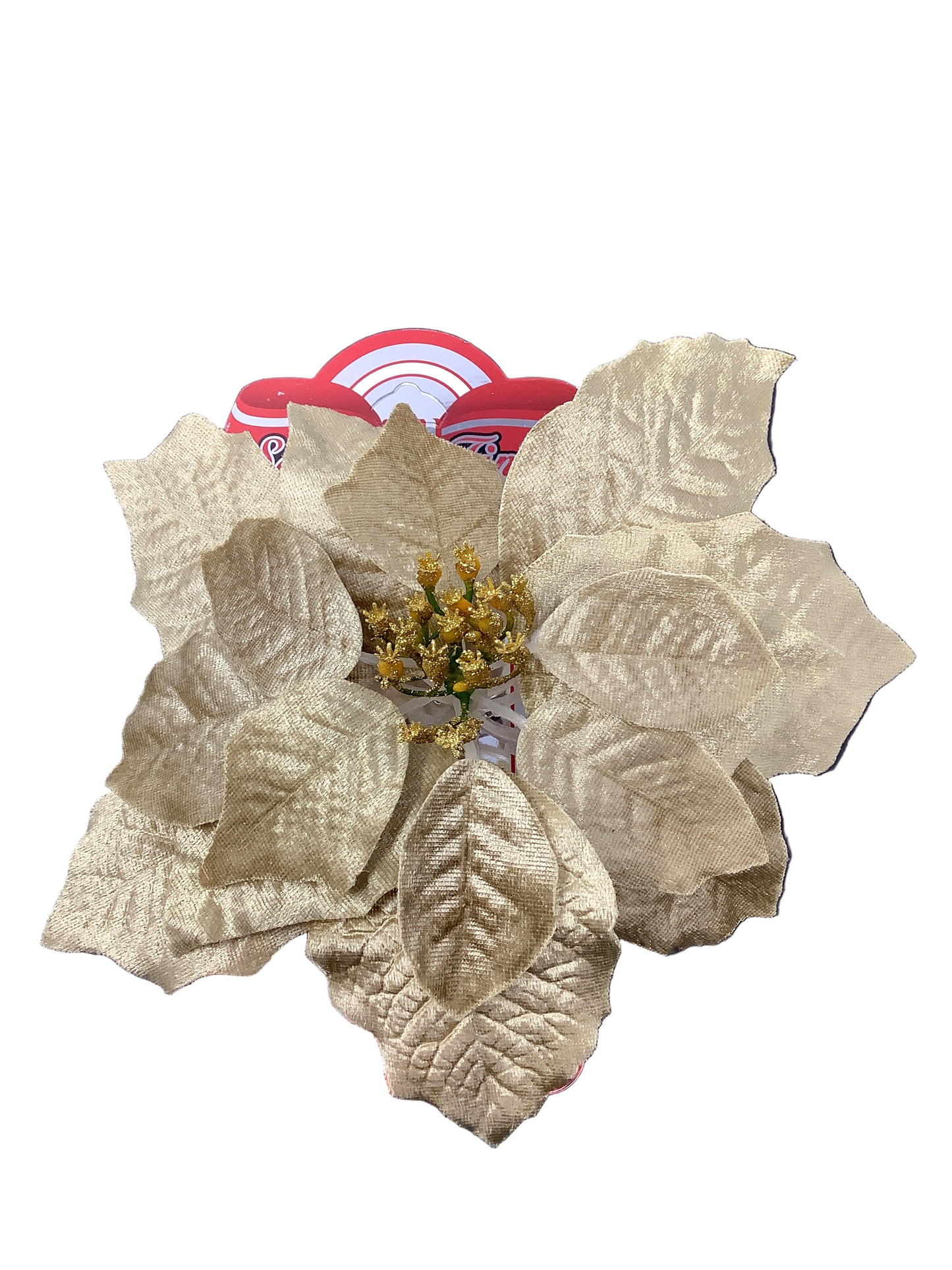 POINSETTIA CLIP 25CM CNDS