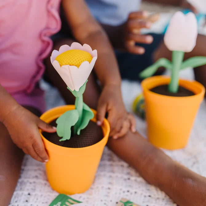 Let's Explore Flower Gardening