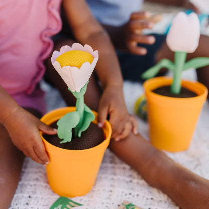 Let's Explore Flower Gardening