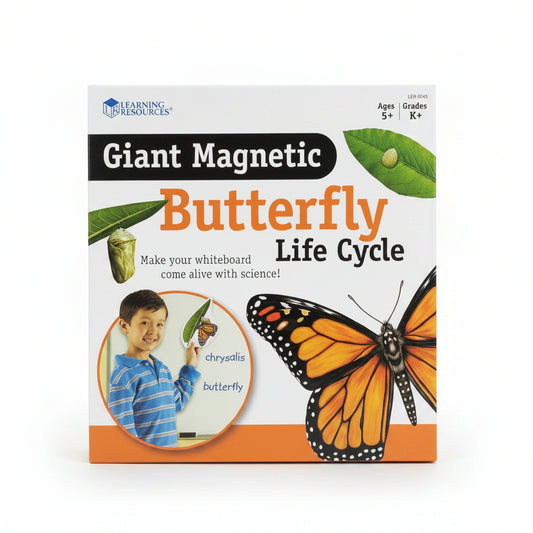 Giant Magnetic Butterfly Life Cycle