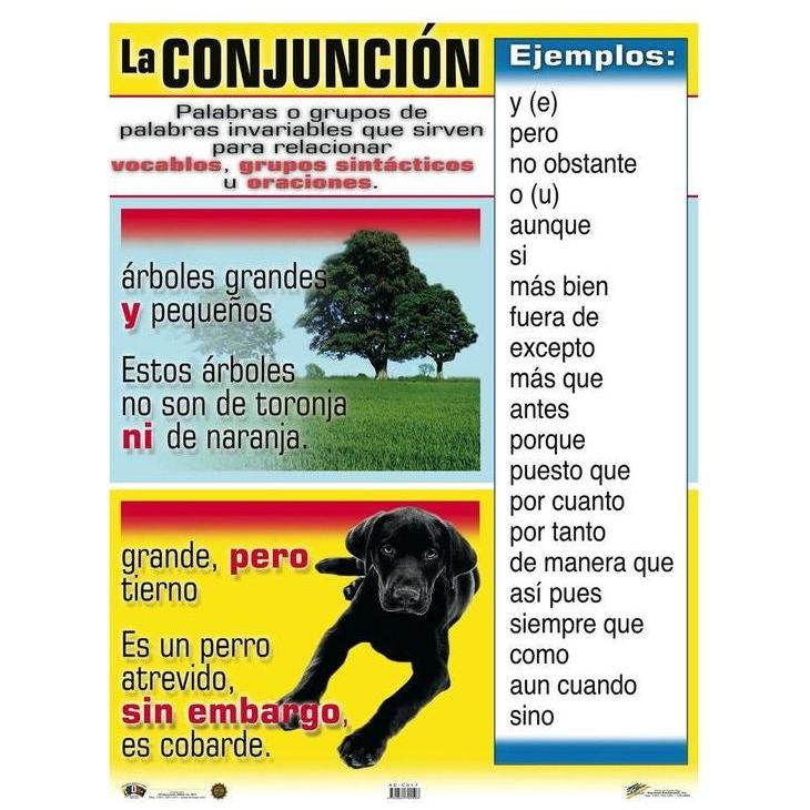 CARTEL CONJUGACIÓN