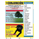 CARTEL CONJUGACIÓN