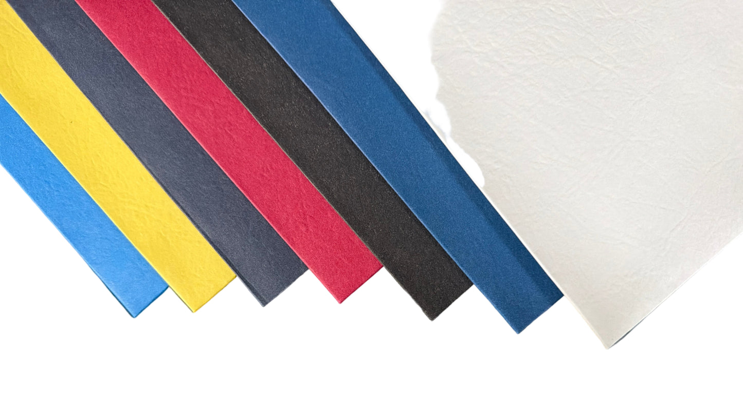 TWIN-POCKET PORTFOLIO PAPER ASST COLORS