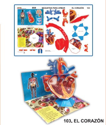 MODELO MAQUETA EL CORAZON