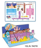 MODELO MAQUETA EL TACTO