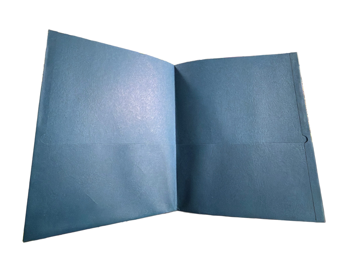 TWIN-POCKET PORTFOLIO PAPER ASST COLORS