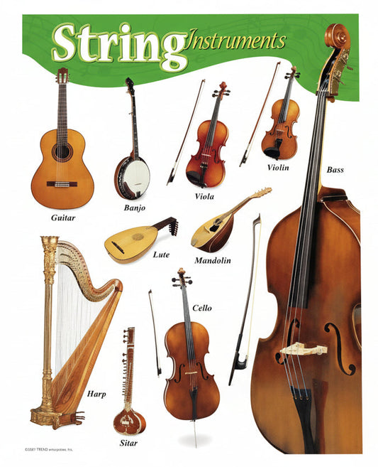 String Instruments Learning | Chart 17x22