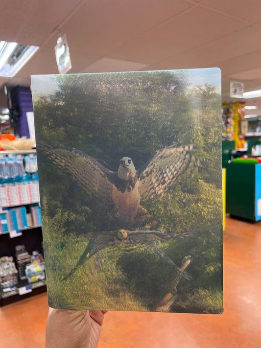 Predators 3D Porfolio