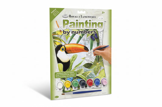 PAINTING BY NUMBERS JUNGLE TOUCAN 10 PC