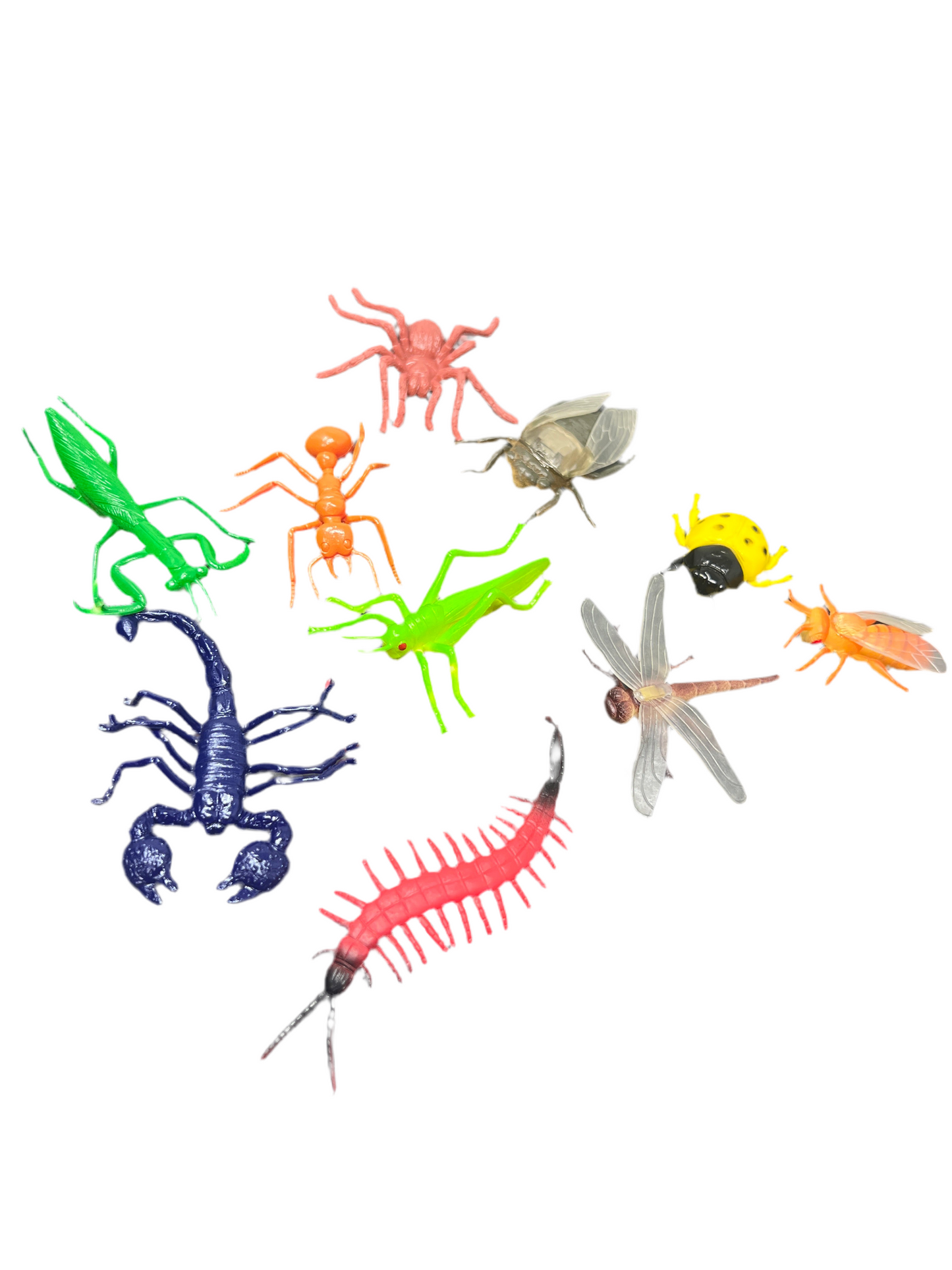 MINI INSECTS