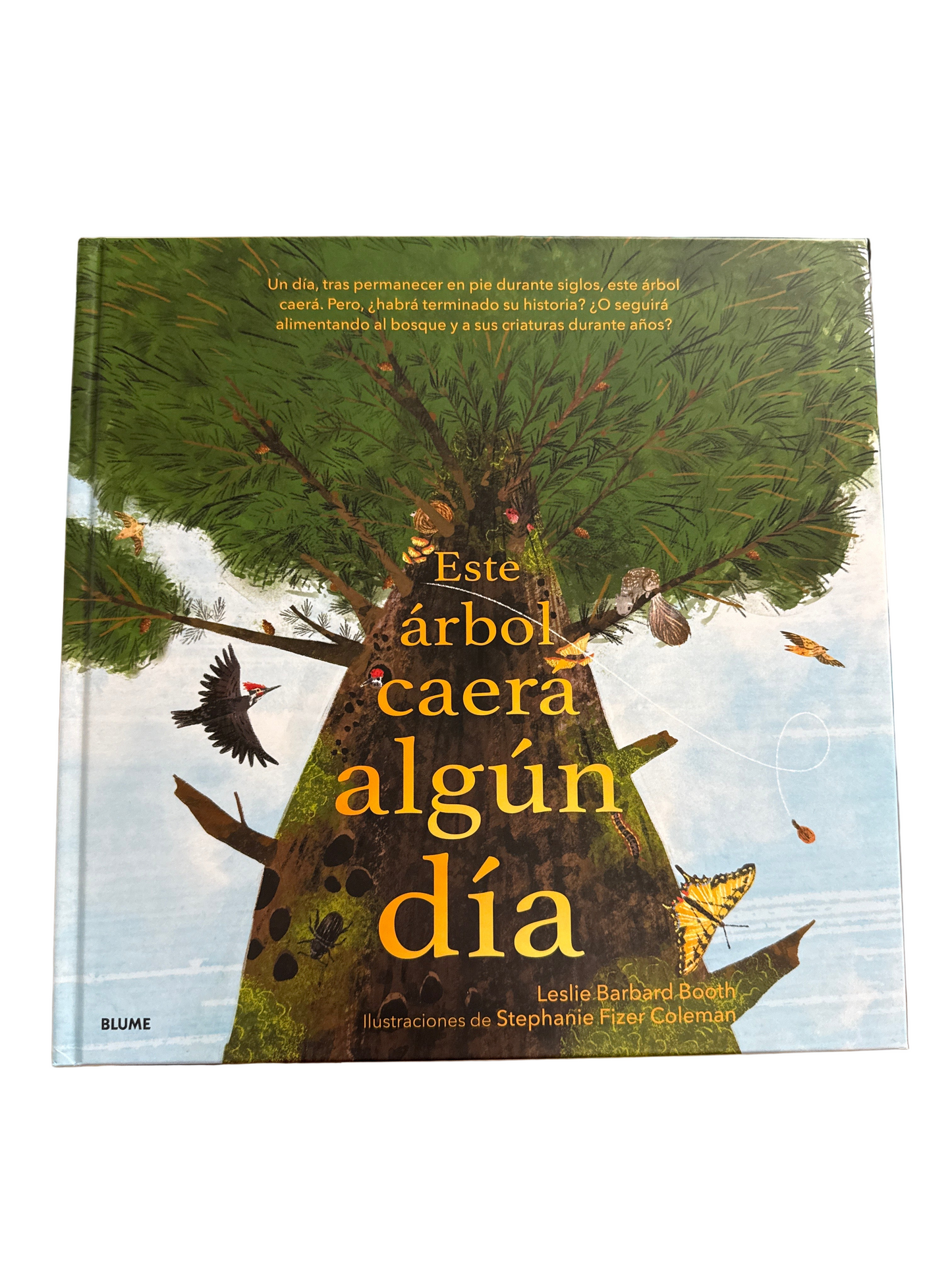 Este árbol caera algún día