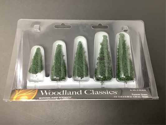 FOREVER GREEN 5PK 2''-3'' 1/2