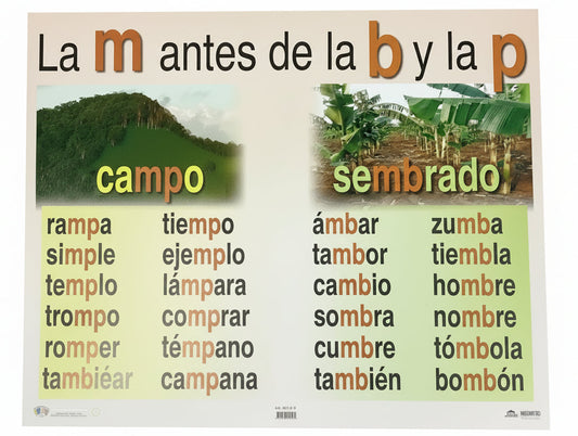 La m antes de la b y la p Cartel