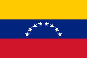 Bandera Peq. de los Paises