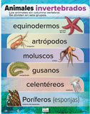 ANI CARTEL ANIMALES INVERTEBRADOS #AC-C826
