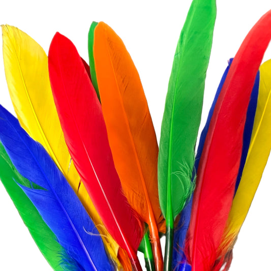 SMALL FEATHERS