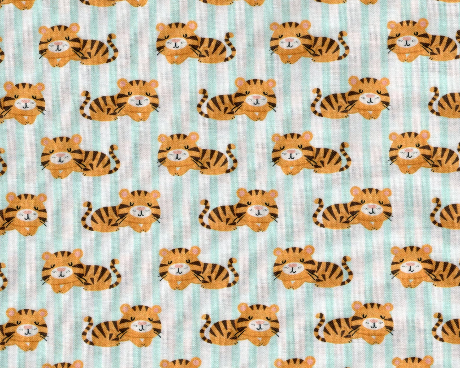Tigres Tiernos