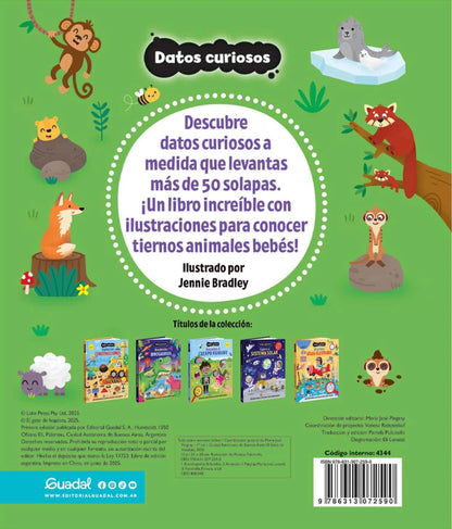 Descubre los Animales Bebés - Datos Curiosos - Guadal