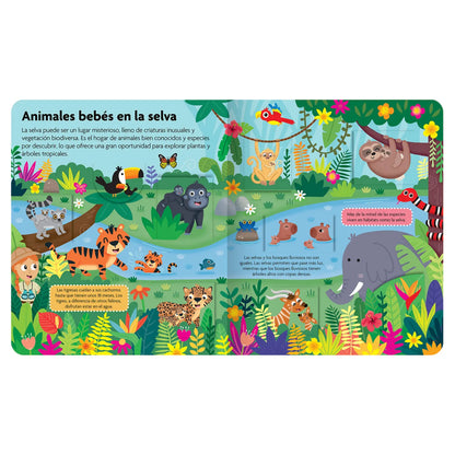 Descubre los Animales Bebés - Datos Curiosos - Guadal