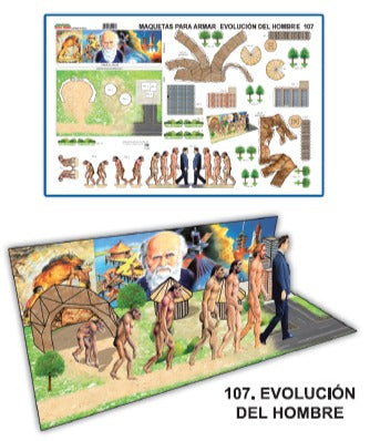 Modelo Maqueta Evolucion del Hombre