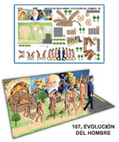 Modelo Maqueta Evolucion del Hombre