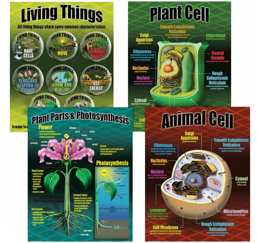 Life Science Poster Set