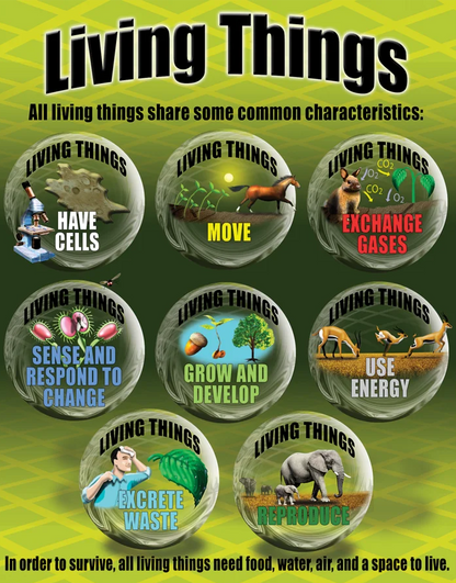 Life Science Poster Set