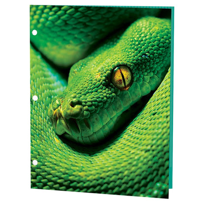 Reptiles Portfolios