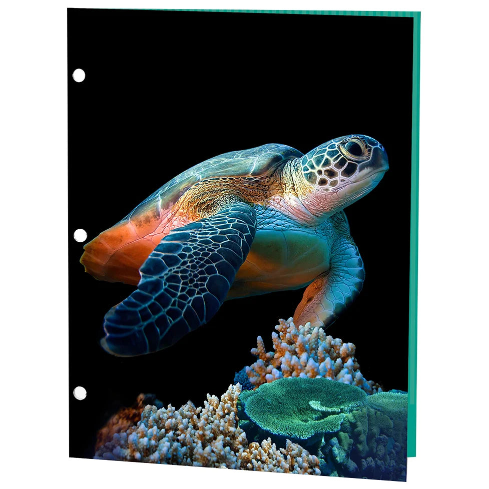 Reptiles Portfolios