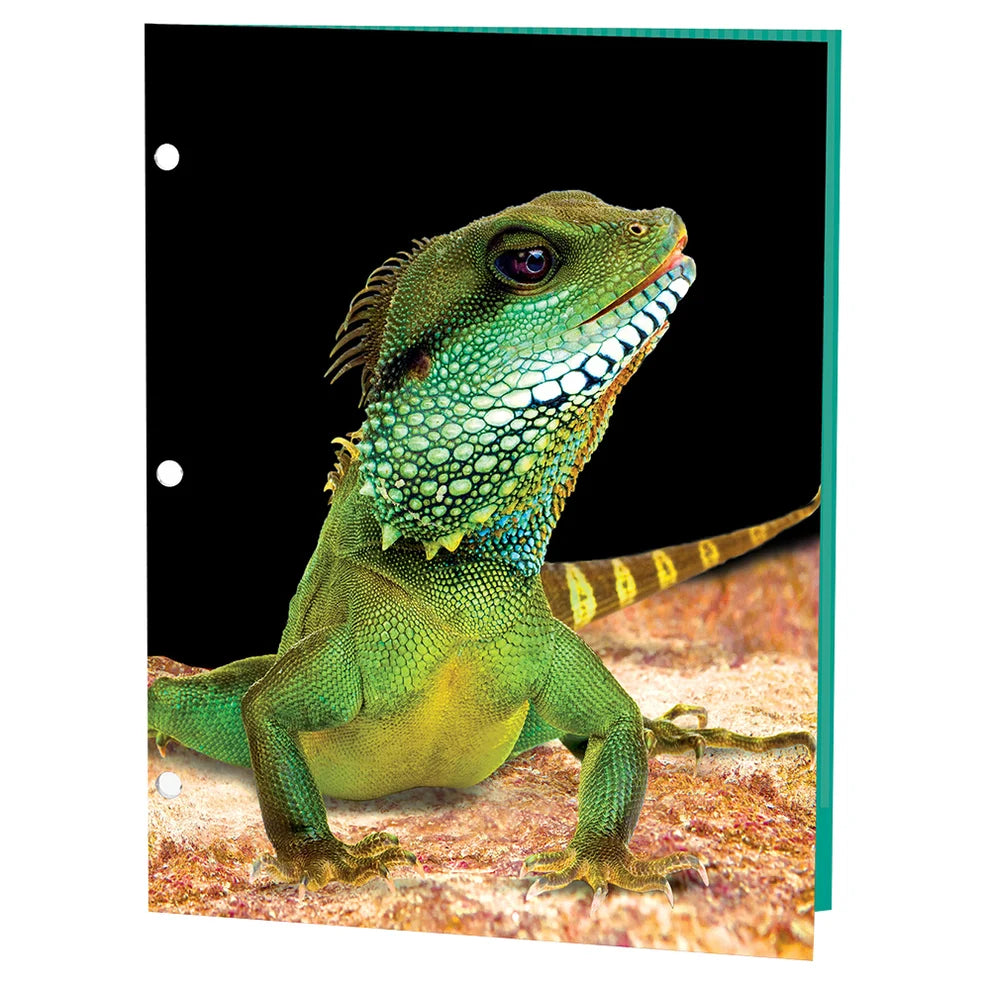 Reptiles Portfolios