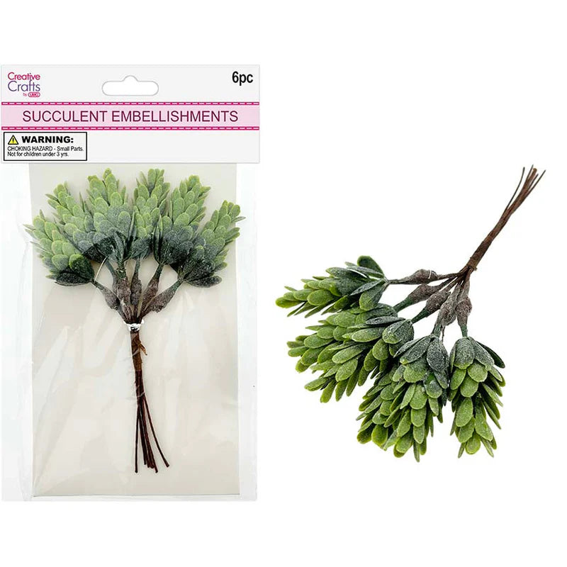 Succulent Bundle | 6pc | Dark Green