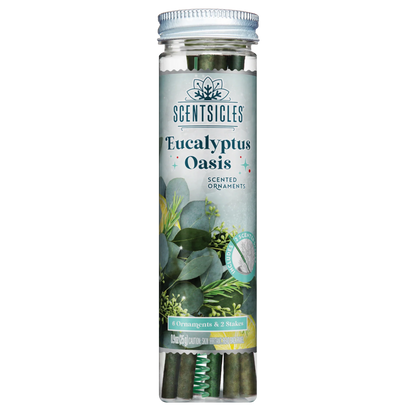 Scentscicles Scented Ornament Stick | Eucalyptus Oasis | 6CT Bottle