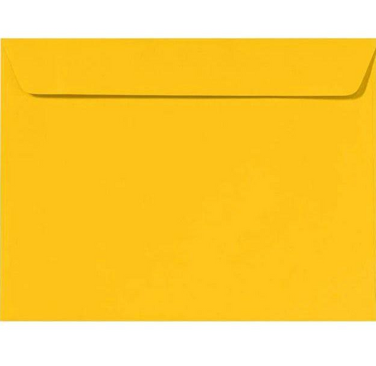 Sobre Manila Carta 9 X 12 | PQ 6