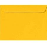 Sobre Manila Carta 9 X 12 | PQ 6