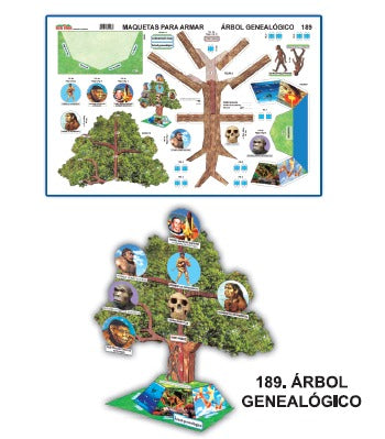 MODELO MAQUETAS ARBOL GENEALOGICO