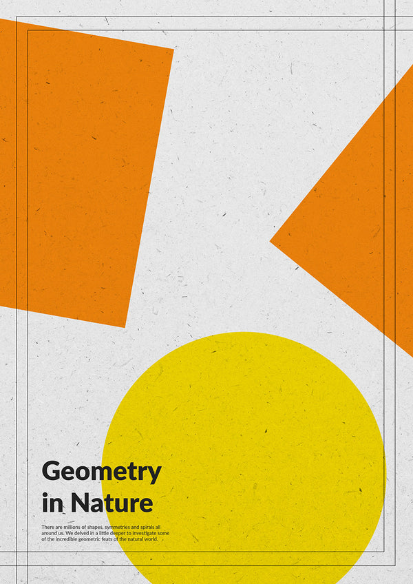 Cartulina - Carta (8.5" x 11") - Copias