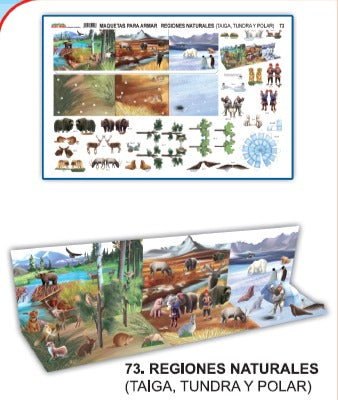 REGIONES NATURALES TAIGA, TUNDRA POLAR