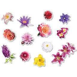 FLOWER GARDEN POP-OUT