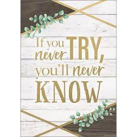 IF YOU NEVER TRY, YOULL NEVER POSTER