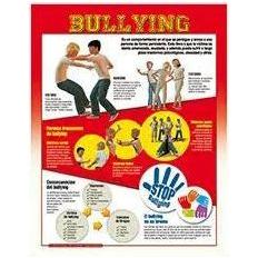 CARTEL BULLYNG
