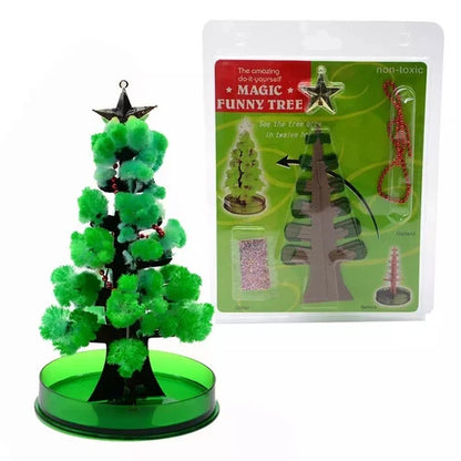 Grow a Christmas Tree